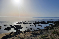 20220522_Orvile